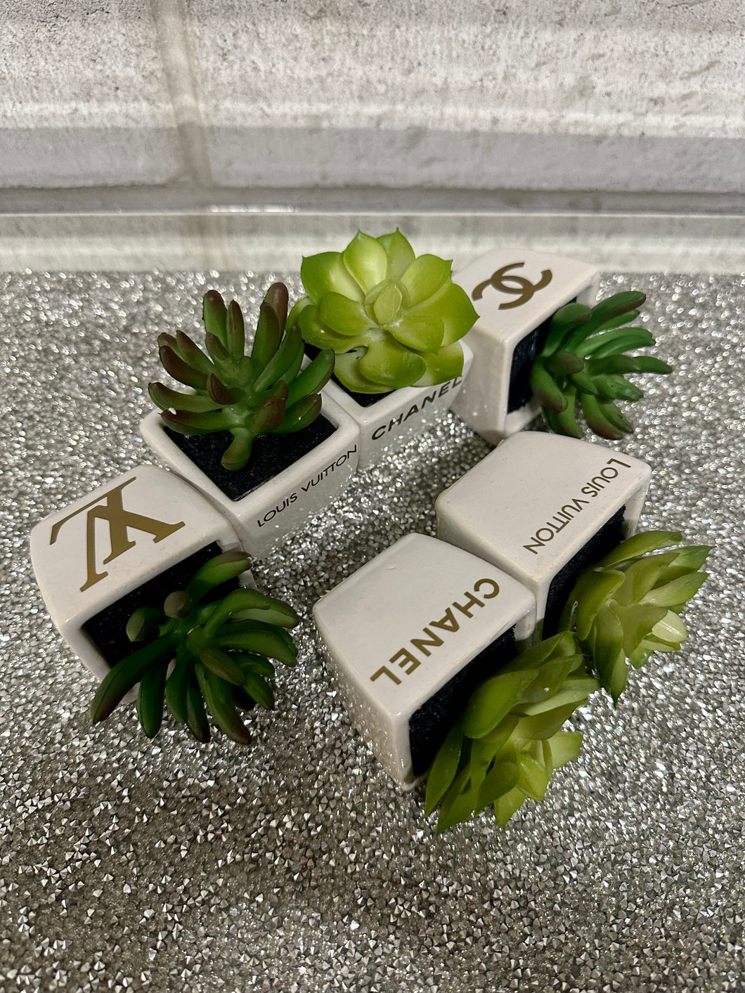 Mini Succulents